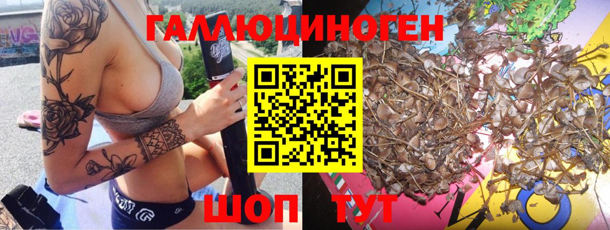 Псилоцибиновые грибы Magic Shrooms  Псилоцибиновые грибы Magic Shrooms  Мыски  Вход с VPN 