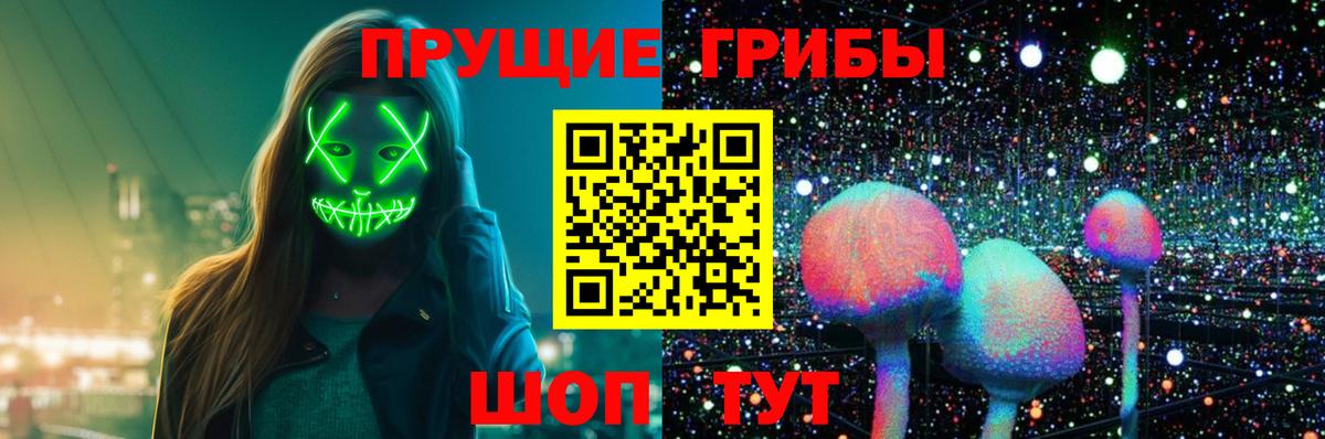 Галлюциногенные грибы Psilocybine cubensis Мыски